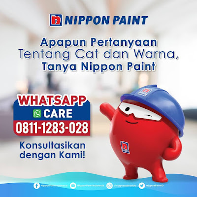 review nippon paint spot less plus